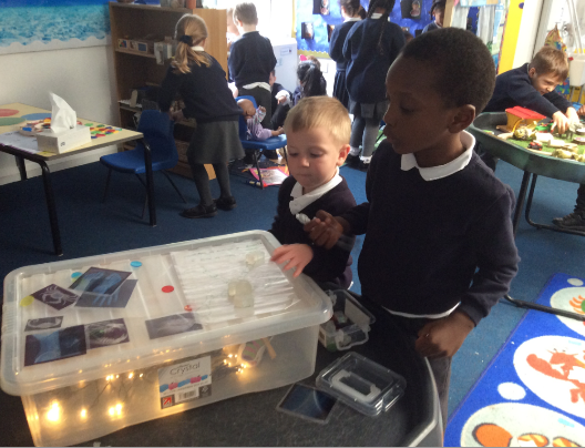 Science EYFS